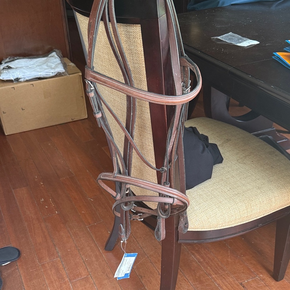 Full Horse Size English Bridle